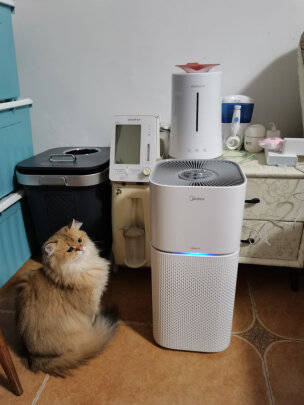 宠物空气净化器是智商税吗？和其他空气净化器的区别在哪